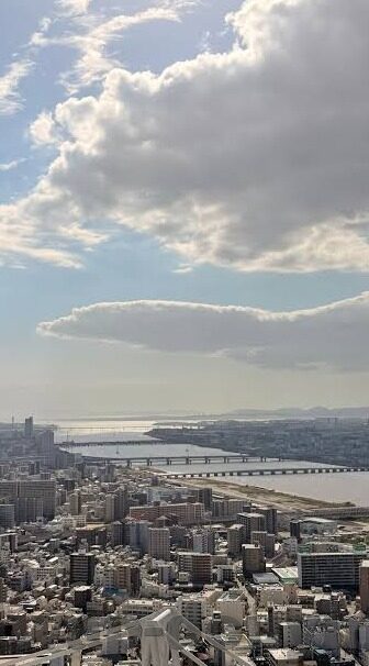 搬ying家大象传媒-搬ying家大象传媒，一场创意与效率的双重升级