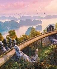 大象伊缅园2022短视频-2022年大象伊缅园的短视频，自然与创意的和谐交响