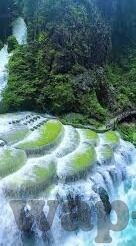 国产一区二区三区蝌蚪-国产一区二区三区蝌蚪，网络文化与地域特色的交织