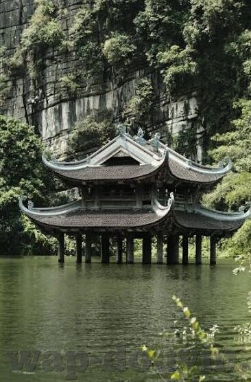 果冻传媒在线观看免费完-探索果冻传媒，在线观看免费完的多元娱乐体验