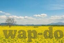 久久精品亚洲熟女av麻豆-解锁视界新维度，解析久久精品亚洲熟女av麻豆的艺术与文化