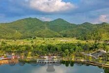 伦理电院免费观看-伦理电影的免费观影，数字时代的道德边界与文化共享