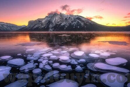 麻豆短视频传媒免费版-麻豆新风尚，免费版带您领略短视频魅力