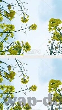 麻豆精品传媒国产亚洲精品欧洲-探索多文化视角下的影音艺术——以麻豆精品传媒国产亚洲精品欧洲为例