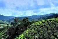 麻豆激情视频在线播放-守住数字世界里的界限，探讨网络内容的适度原则
