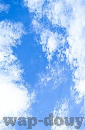 日韩av性交视频-探索成人内容与网络伦理的边界