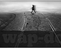 糖心app安卓-解锁糖心APP安卓应用，一场体验式探索之旅