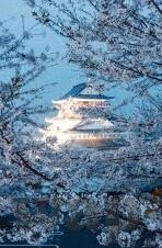 糖心app网站下载-构建个性娱乐空间，探索糖心app的魅力之旅
