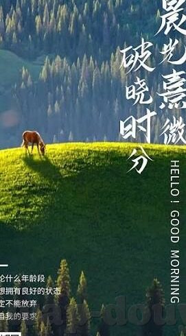 糖心vlog黄色-糖心Vlog的色彩，揭开网络平台真实与想象的边界